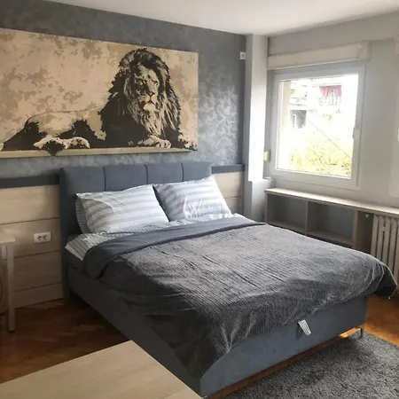 Leo Central Apartment Belgrado Esterno foto