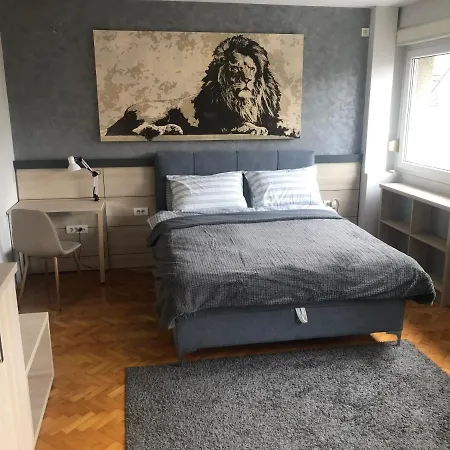 Leo Central Apartment Belgrado Esterno foto