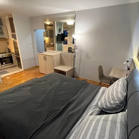 Leo Central Apartment Belgrado Esterno foto