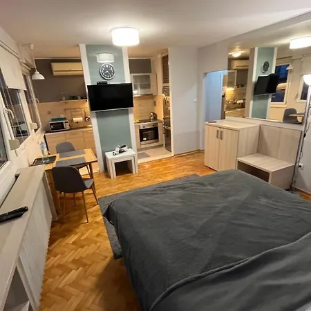 Leo Central Apartment Belgrado Esterno foto