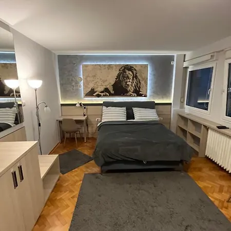 Leo Central Apartment Belgrado Esterno foto